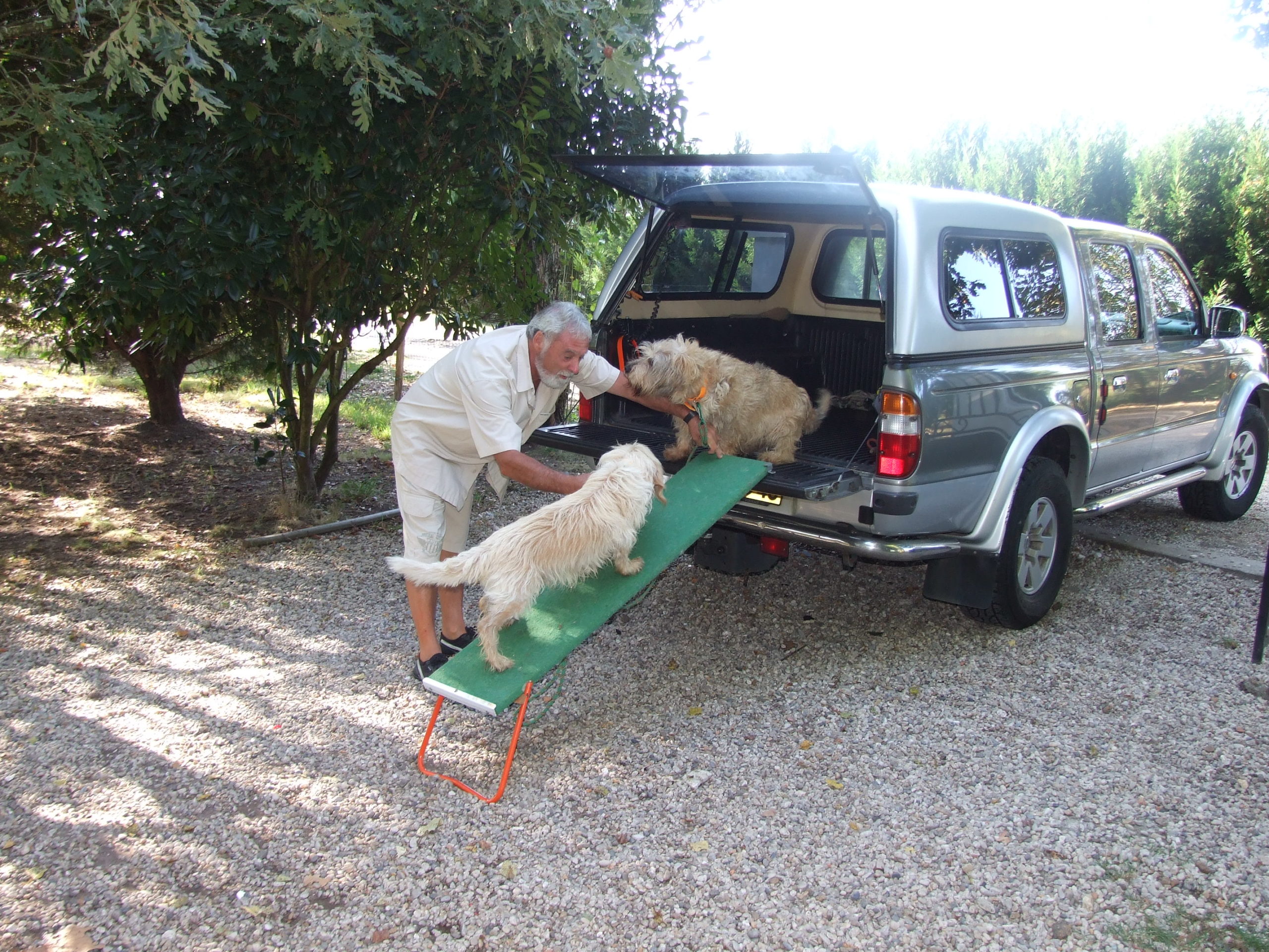 Pension canine à Mios en Gironde
