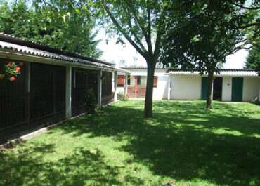 Préparer les vacances de votre chien à La Haille au Loup