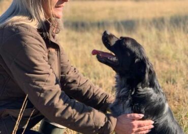 Activités pour chien en Gironde : 10 idées pour partager des moments complices avec votre compagnon